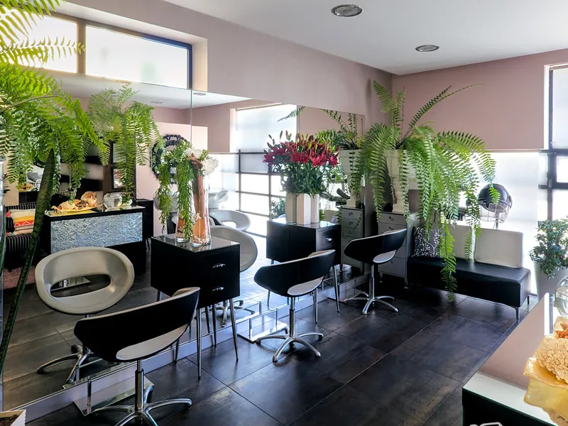 Interior do Hair Style: cadeiras pretas e brancas em frente aos espelhos, fetos suspensos e flores, com luz natural das janelas.